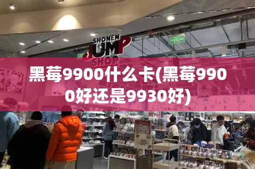 黑莓9900什么卡(黑莓9900好还是9930好)-第1张图片-星选测评