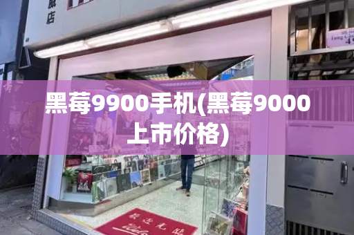 黑莓9900手机(黑莓9000上市价格)