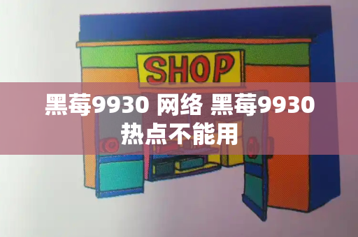 黑莓9930 网络 黑莓9930热点不能用-第1张图片-星选测评