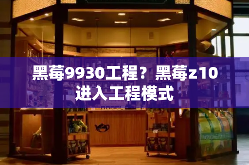 黑莓9930工程？黑莓z10进入工程模式