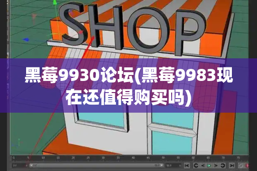 黑莓9930论坛(黑莓9983现在还值得购买吗)