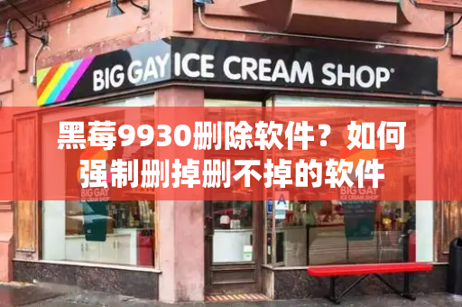 黑莓9930删除软件？如何强制删掉删不掉的软件-第1张图片-星选测评