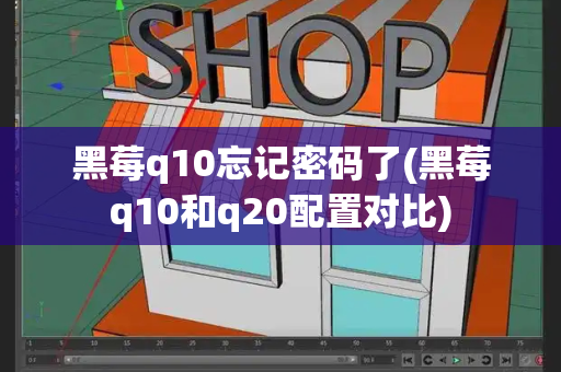 黑莓q10忘记密码了(黑莓q10和q20配置对比)-第1张图片-星选测评