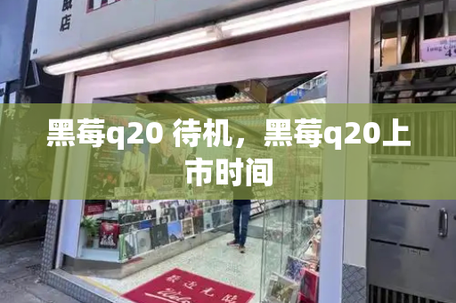 黑莓q20 待机，黑莓q20上市时间-第1张图片-星选测评