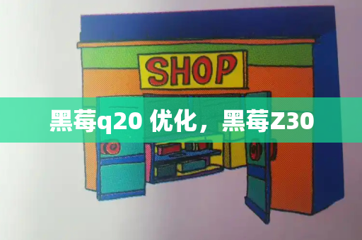 黑莓q20 优化，黑莓Z30-第1张图片-星选测评