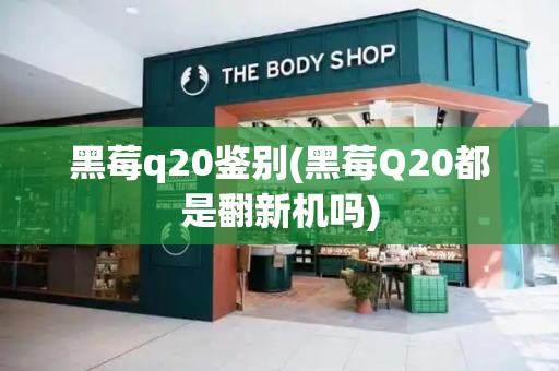 黑莓q20鉴别(黑莓Q20都是翻新机吗)-第1张图片-星选测评