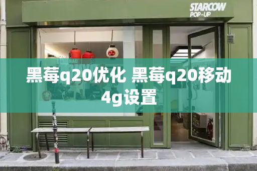 黑莓q20优化 黑莓q20移动4g设置