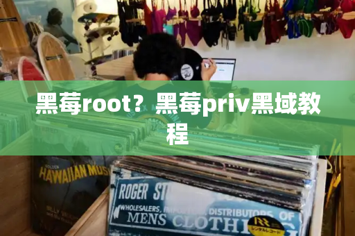 黑莓root？黑莓priv黑域教程-第1张图片-星选测评