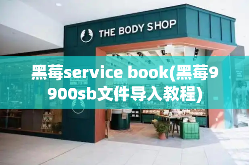 黑莓service book(黑莓9900sb文件导入教程)-第1张图片-星选测评