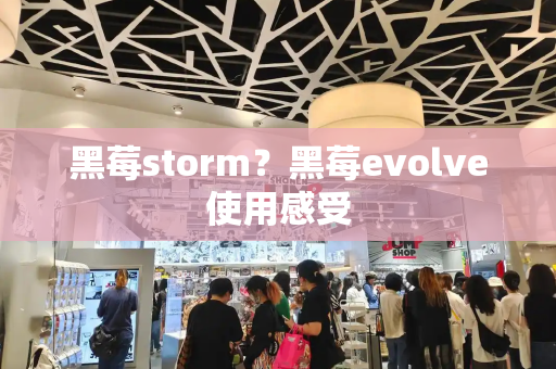 黑莓storm？黑莓evolve使用感受-第1张图片-星选测评