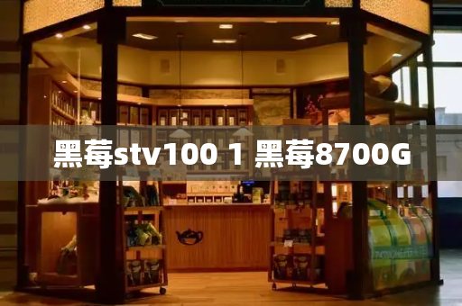 黑莓stv100 1 黑莓8700G