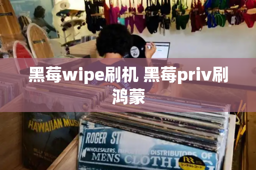 黑莓wipe刷机 黑莓priv刷鸿蒙-第1张图片-星选测评