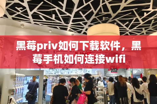 黑莓priv如何下载软件，黑莓手机如何连接wifi