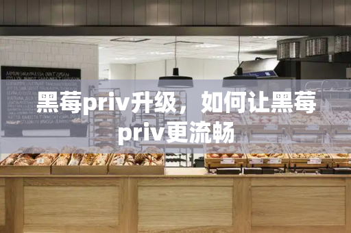 黑莓priv升级，如何让黑莓priv更流畅-第1张图片-星选测评