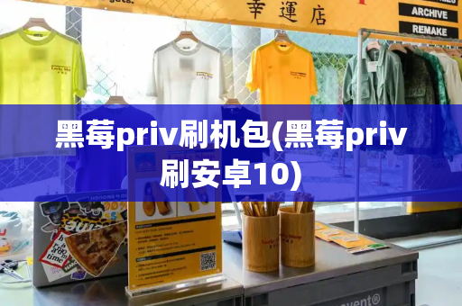 黑莓priv刷机包(黑莓priv刷安卓10)-第1张图片-星选测评