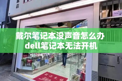 戴尔笔记本没声音怎么办 dell笔记本无法开机