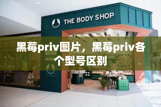 黑莓priv图片，黑莓priv各个型号区别-第1张图片-星选测评