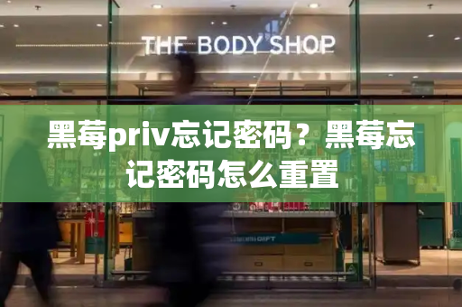 黑莓priv忘记密码？黑莓忘记密码怎么重置-第1张图片-星选测评