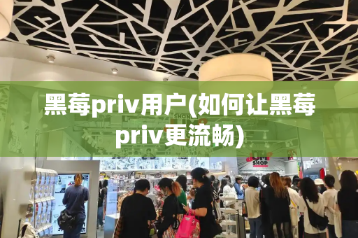 黑莓priv用户(如何让黑莓priv更流畅)