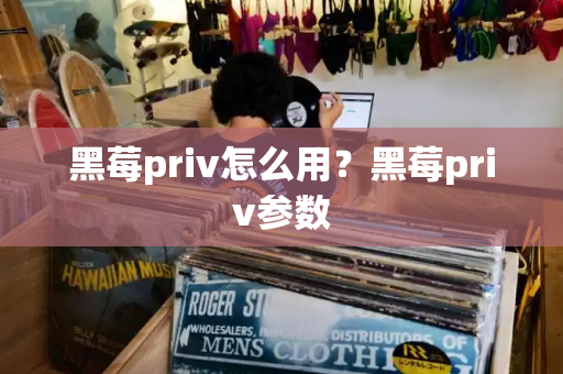 黑莓priv怎么用？黑莓priv参数-第1张图片-星选测评