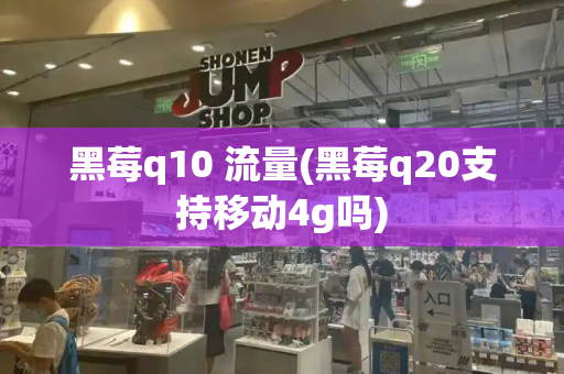 黑莓q10 流量(黑莓q20支持移动4g吗)-第1张图片-星选测评