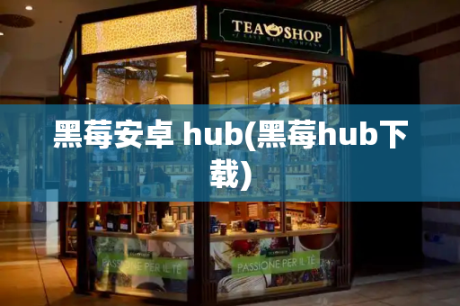 黑莓安卓 hub(黑莓hub下载)-第1张图片-星选测评