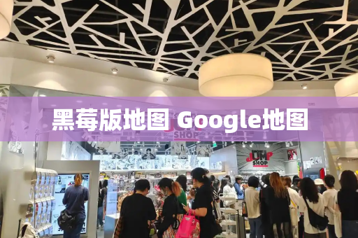 黑莓版地图 Google地图-第1张图片-星选测评