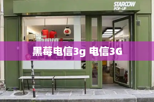 黑莓电信3g 电信3G-第1张图片-星选测评