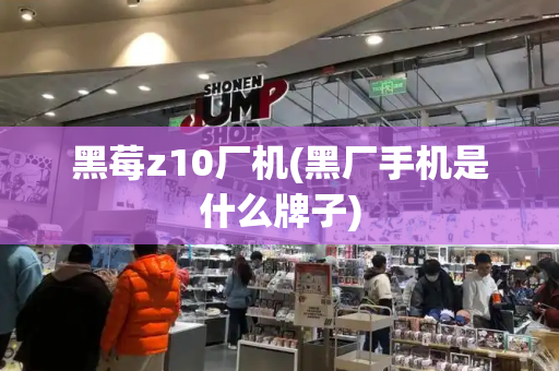 黑莓z10厂机(黑厂手机是什么牌子)-第1张图片-星选测评