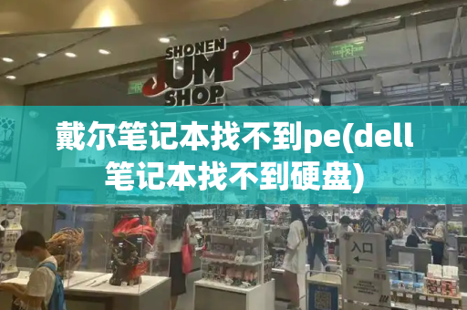 戴尔笔记本找不到pe(dell笔记本找不到硬盘)