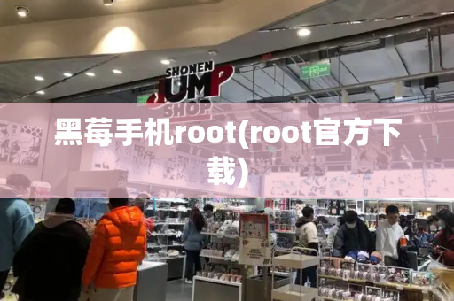 黑莓手机root(root官方下载)