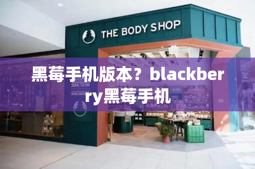 黑莓手机版本？blackberry黑莓手机-第1张图片-星选测评