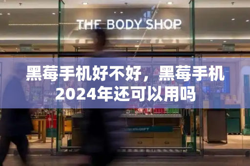 黑莓手机好不好，黑莓手机2024年还可以用吗