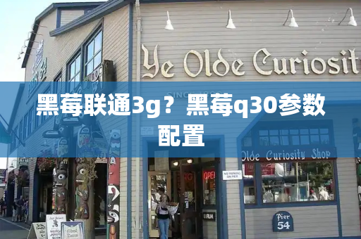 黑莓联通3g？黑莓q30参数配置-第1张图片-星选测评