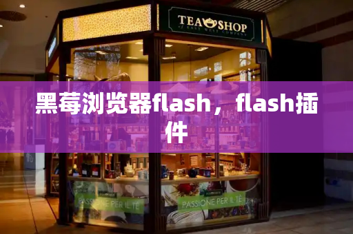 黑莓浏览器flash，flash插件