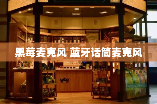黑莓麦克风 蓝牙话筒麦克风