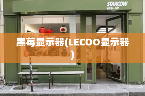 黑莓显示器(LECOO显示器)