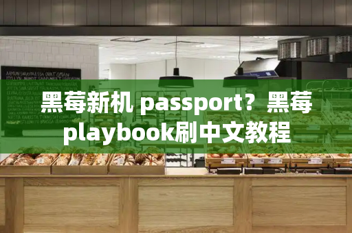 黑莓新机 passport？黑莓playbook刷中文教程-第1张图片-星选测评