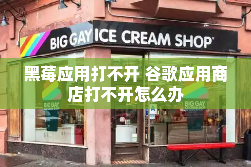 黑莓应用打不开 谷歌应用商店打不开怎么办-第1张图片-星选测评