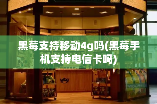 黑莓支持移动4g吗(黑莓手机支持电信卡吗)