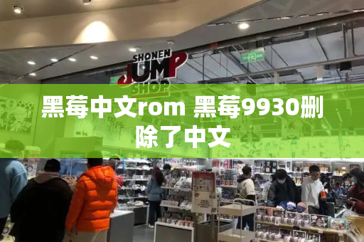 黑莓中文rom 黑莓9930删除了中文-第1张图片-星选测评