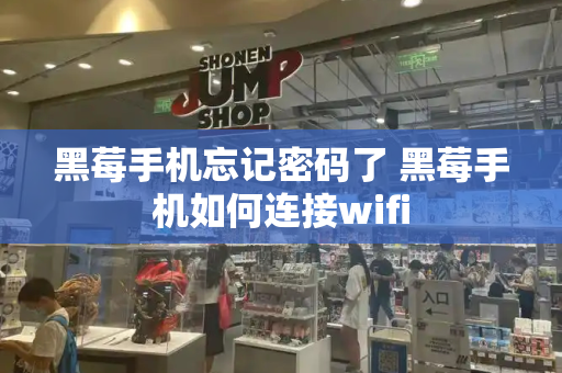 黑莓手机忘记密码了 黑莓手机如何连接wifi-第1张图片-星选测评