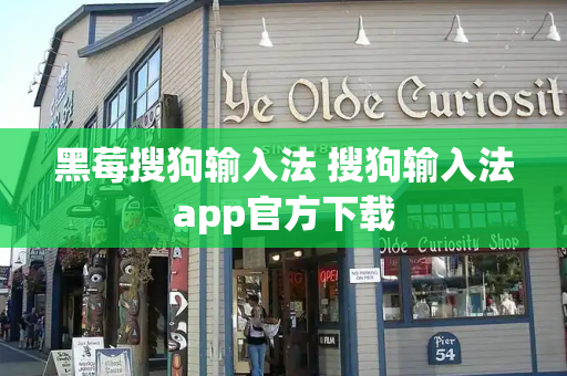 黑莓搜狗输入法 搜狗输入法app官方下载