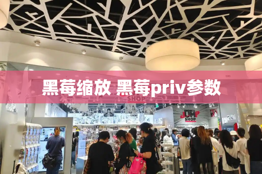 黑莓缩放 黑莓priv参数