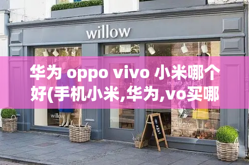 华为 oppo vivo 小米哪个好(手机小米,华为,vo买哪个好)-第1张图片-星选测评