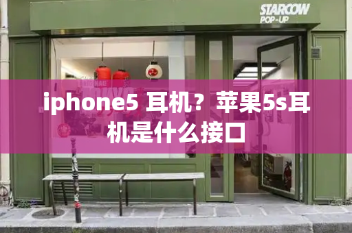 iphone5 耳机？苹果5s耳机是什么接口-第1张图片-星选测评