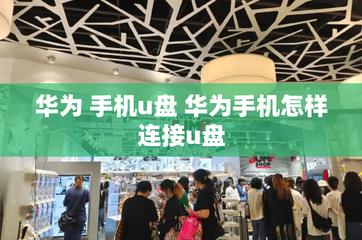 华为 手机u盘 华为手机怎样连接u盘