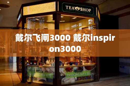 戴尔飞闸3000 戴尔inspiron3000