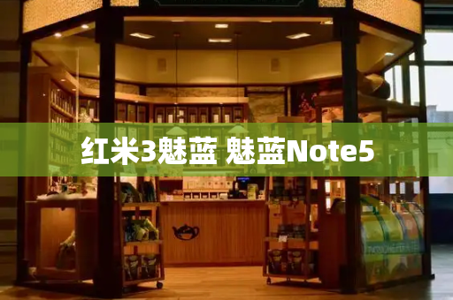 红米3魅蓝 魅蓝Note5-第1张图片-星选测评