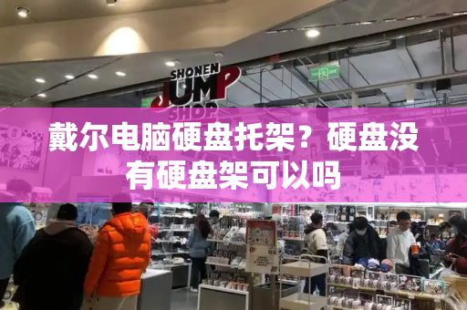 戴尔电脑硬盘托架？硬盘没有硬盘架可以吗